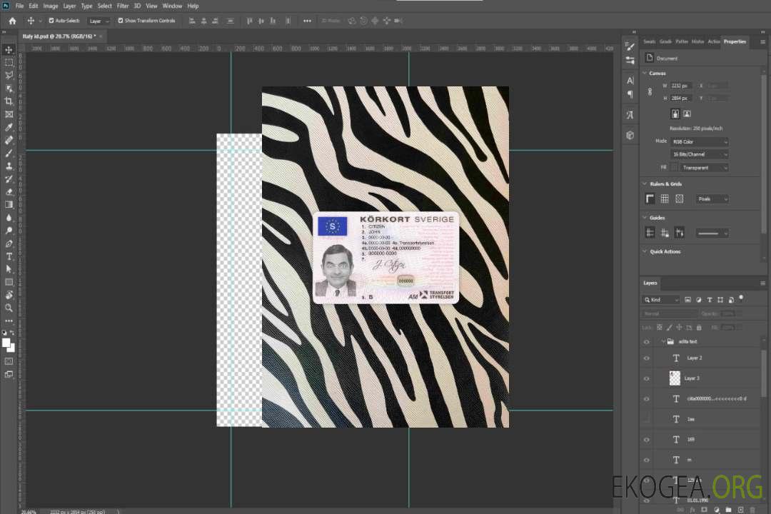 Suède DL (2009-2016) photolook AVANT template